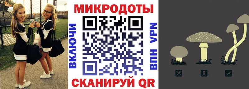 Псилоцибиновые грибы Psilocybine cubensis купить Вичуга